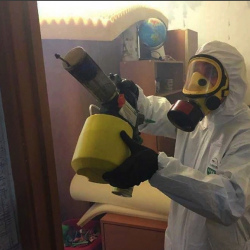Уничтожение клопов в квартире. Порхов